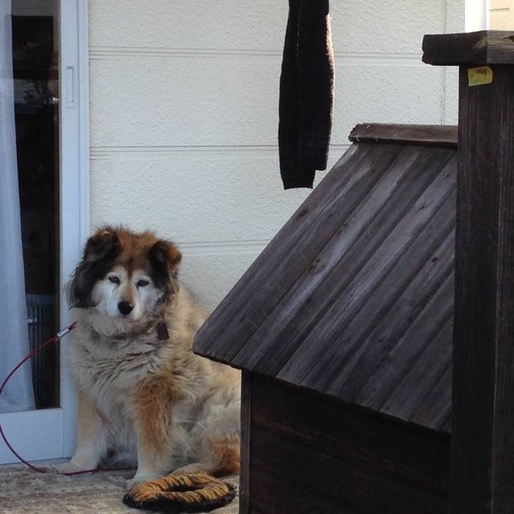 707ddbf0 2238 4ad8 94a4 28c482585e87 1584579551682