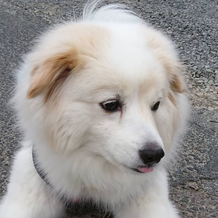 707e23f6 dcc3 4eca 9ff6 4b9e3ba74ff2 1654210660491