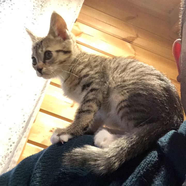 707e65ed cb5d 4298 9f9c 6bb492f5d83f 1543020085340