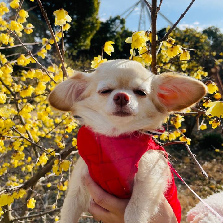 707e7045 1fe5 47d6 a765 72574d7c8bae 1674382053954