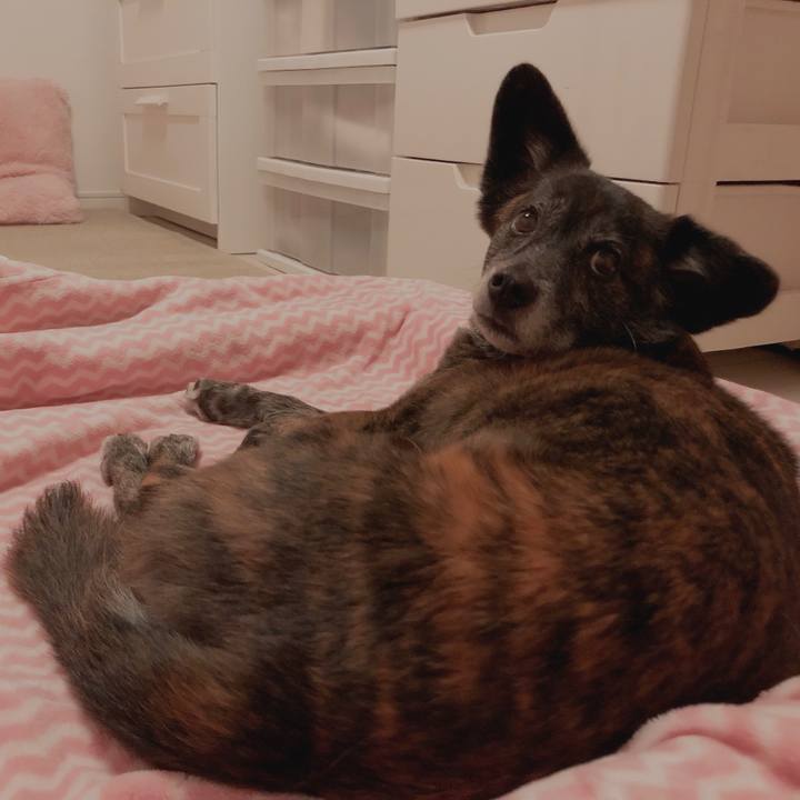 707e7166 4cac 4bad 96a1 20981eacfa78 1611330234590