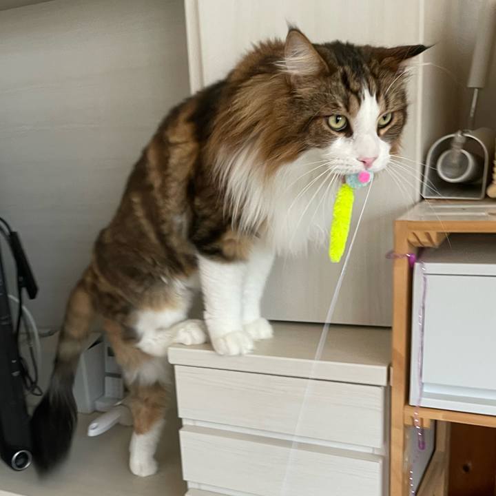 707e8181 998b 40ff 8663 9692b350b1cc 1693258470357