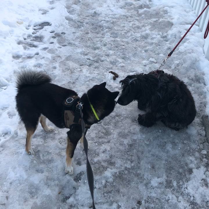 707e8c2d b28f 47f2 a0b3 a16cf3892656 1615247942244