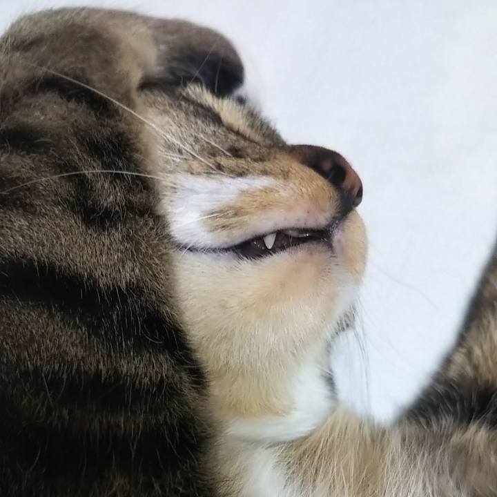 707eb1f7 5d07 4d4a 8216 1d395c43070d 1627733038021