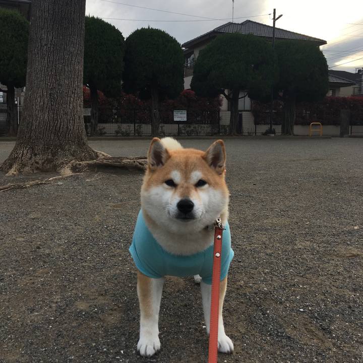 707ec873 00b2 42bb a935 5c5cb43304e7 1554971074354