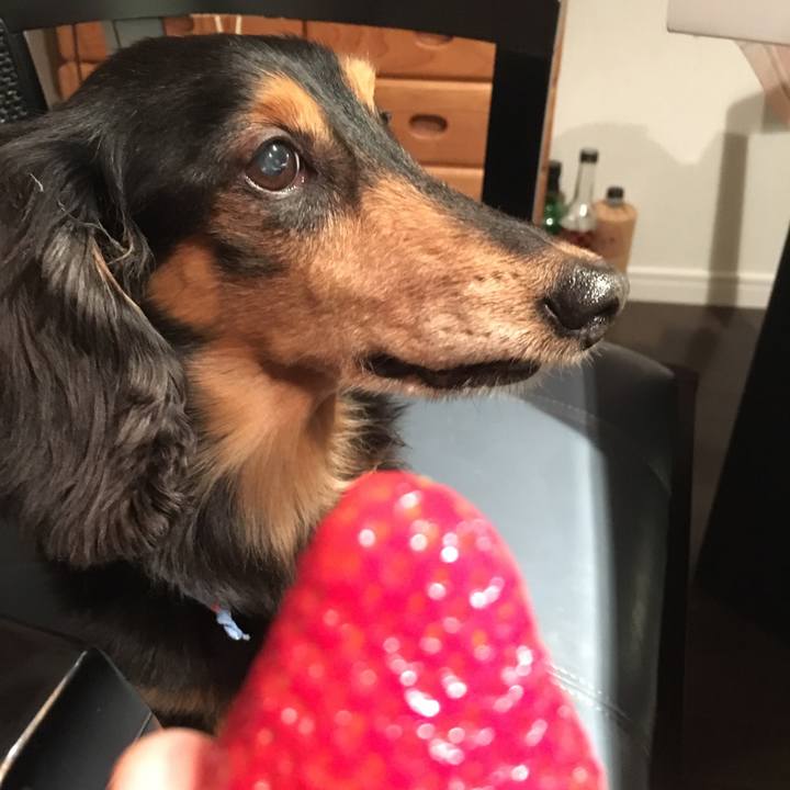 707ed964 d140 4334 a3e3 ecfde15cc70c 1520942947359