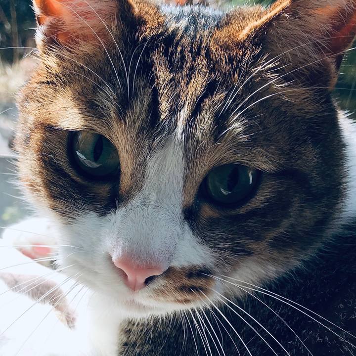 707eecf8 7526 4d28 9b59 4eeae613d7c9 1551862265585