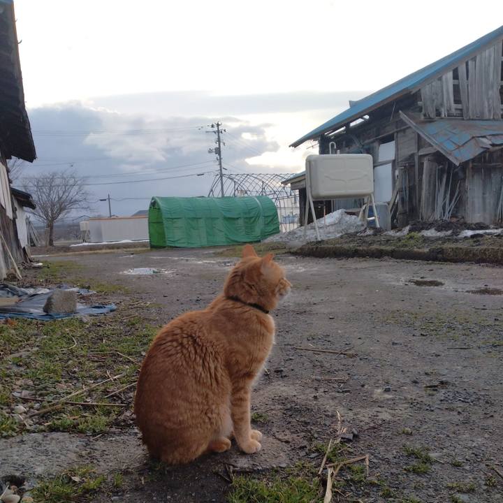 707f1b9f ec91 4969 bc9c f51c4f7654f4 1678747431789