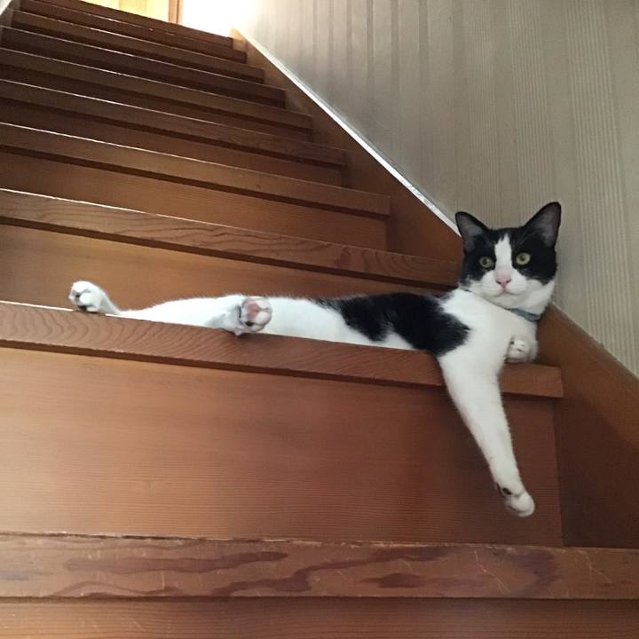 707f391a 9ce7 4eb3 ad24 8204892e3838 1661490374951