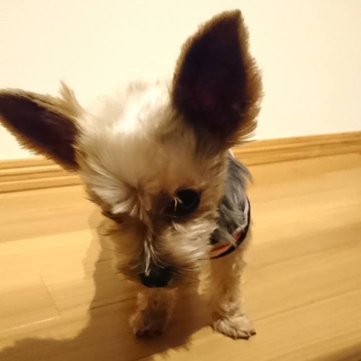 707f5131 772f 43f3 9b78 43595b996e63 1539957839448