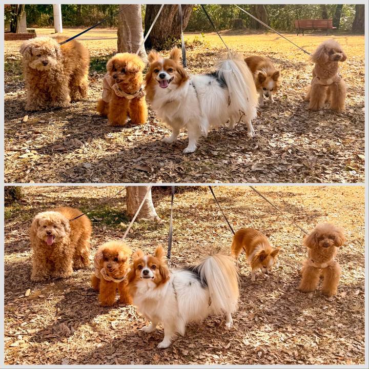 707f5252 caea 4703 a74e f2be37532e2e 1771978635816