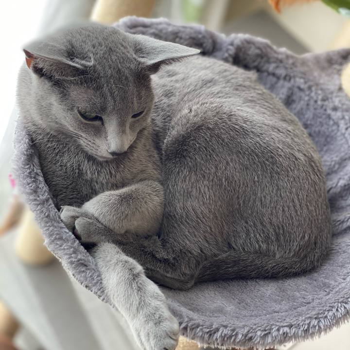 707f5a6c c8c4 40e4 b717 9cb2e096c388 1613015956077