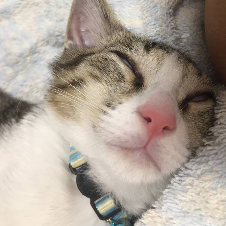 707f6b1b a591 45b9 a584 93267ad2a1cc 1656482283619