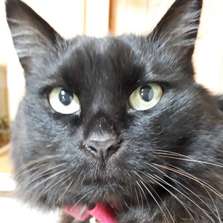 707f8cf9 f8e6 4f86 b2e7 112e512c7e04 1517092856320