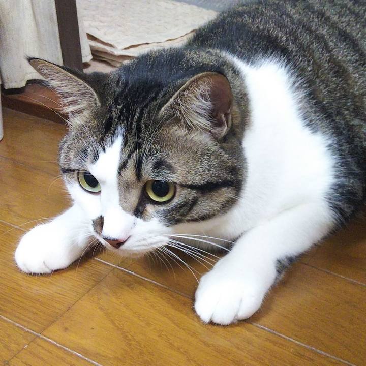 707f9542 06dc 49fd 976c b763e541f788 1662728163952