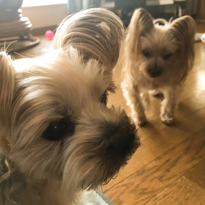 707fce13 b5cc 44d1 b7fc 8e2d4904bcf0 1551308811734