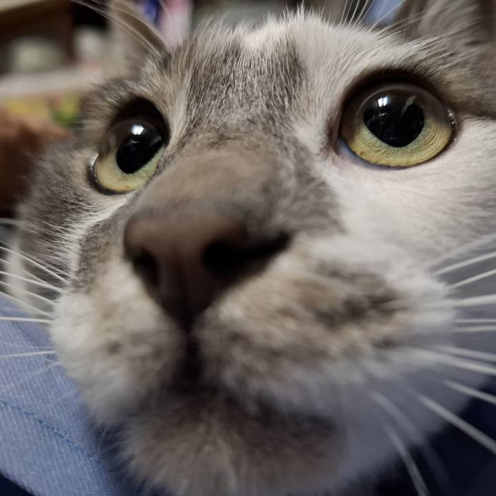 707fdf0b 3de0 461f a423 ee8e46bc7870 1744791416838