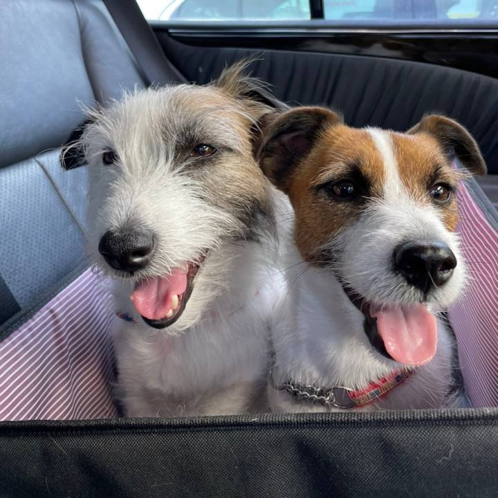 707fe1c5 aea0 41f3 8d35 495e99d21fae 1652588122371