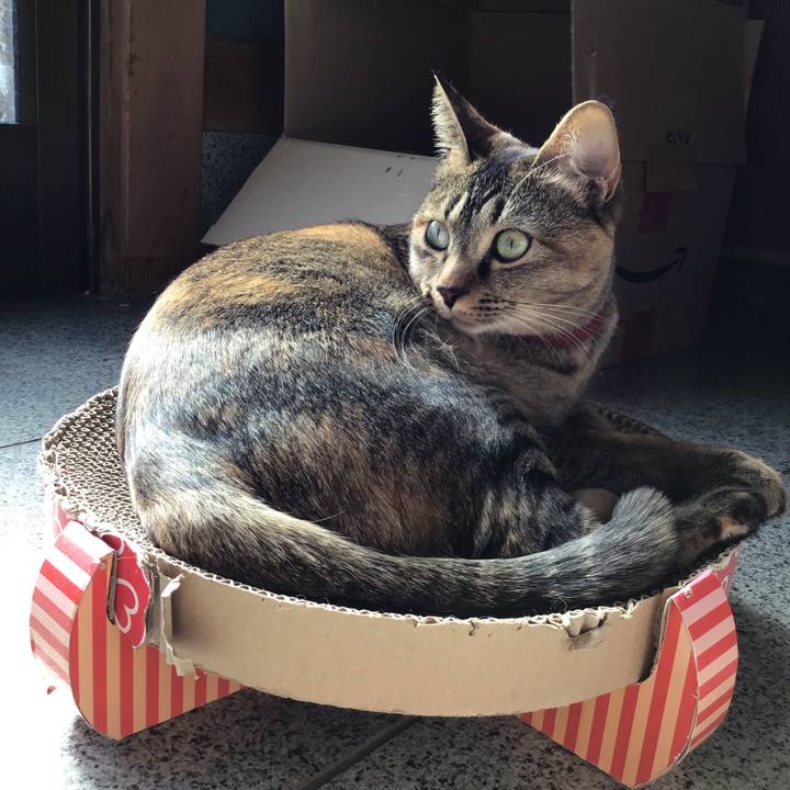 70804f6a 6179 4bc8 a8d5 baa31acb9313 1612064169909