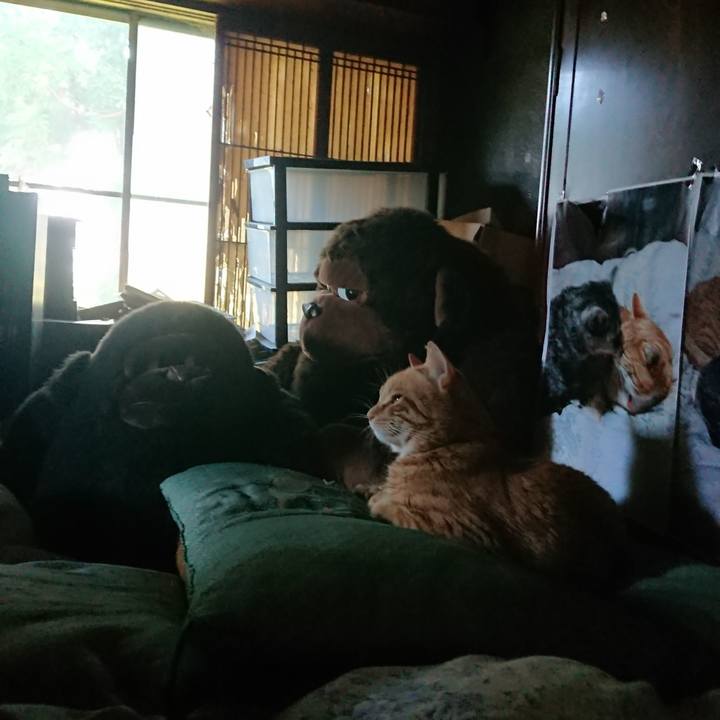 70806ea5 81a6 4183 85fe a0a0c0cef7b0 1656623787286