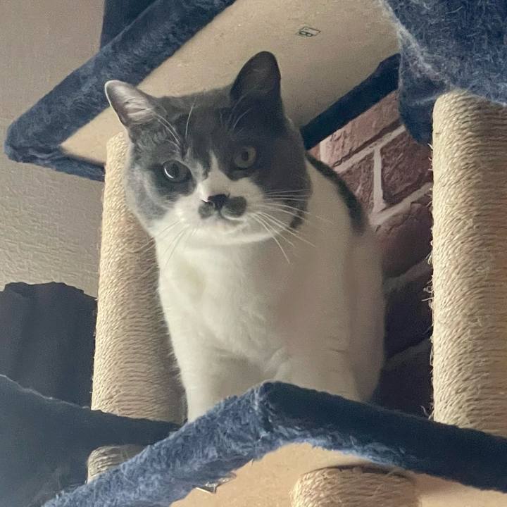 708078f1 e829 45fd a87e c28bfea4bda3 1654908644522