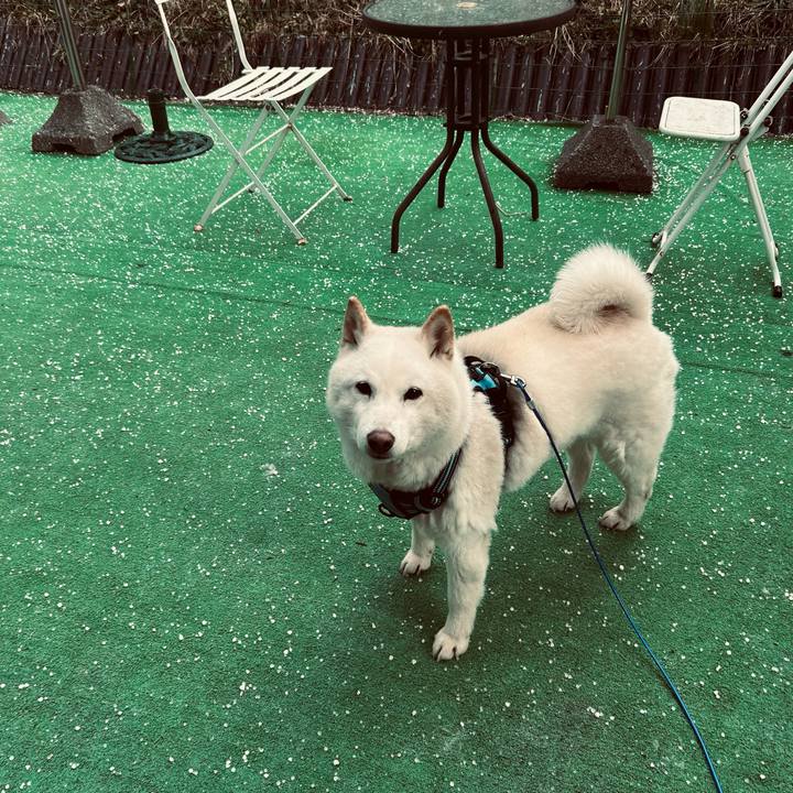 70808485 05c8 4600 a1cb f2c7ab7f7ed9 1682312506276