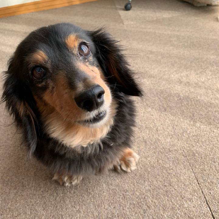 7080a7e0 98fc 48cd a00b 34f17b9631d7 1559252456585