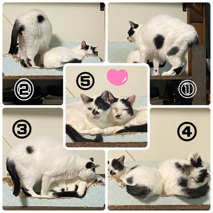 7080b139 21d3 45b1 bbe5 e813fec0a722 1749869579601