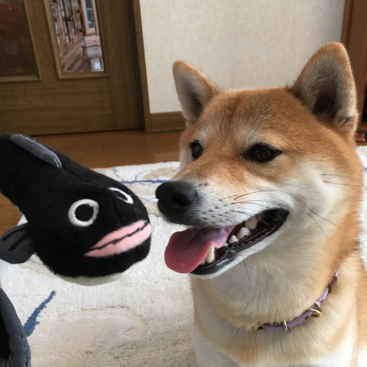 7080bbbe 19b5 49a8 beef d1da50b9bb99 1509840067593