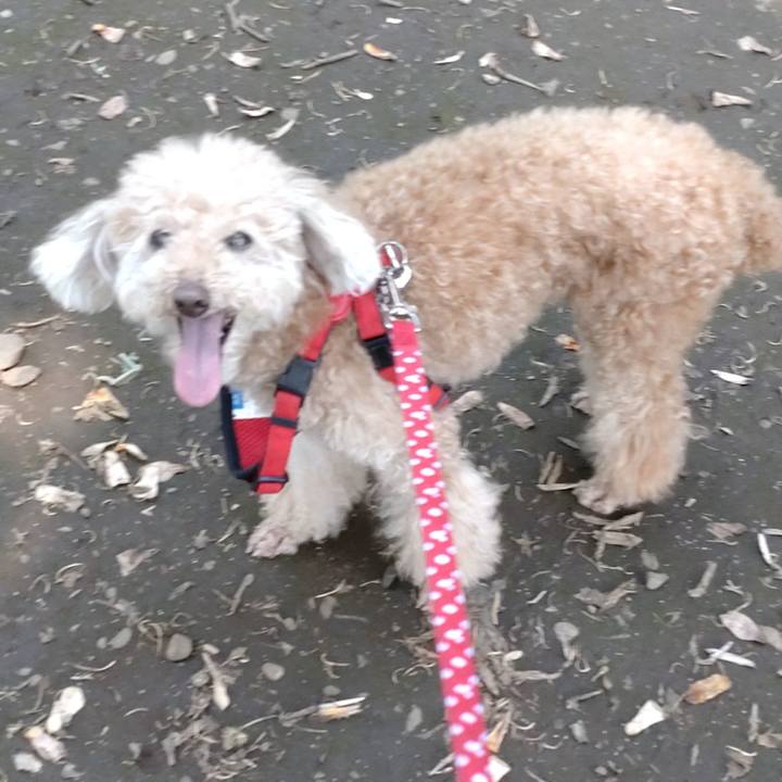 7080d7f5 c135 4bb1 a4d5 1b4457b4837e 1653712823594