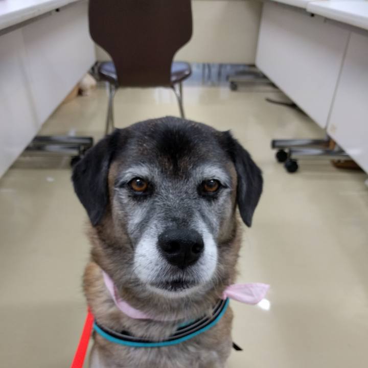 7080efd8 3b66 40b6 aa6d f24199ccba4b 1752548707795