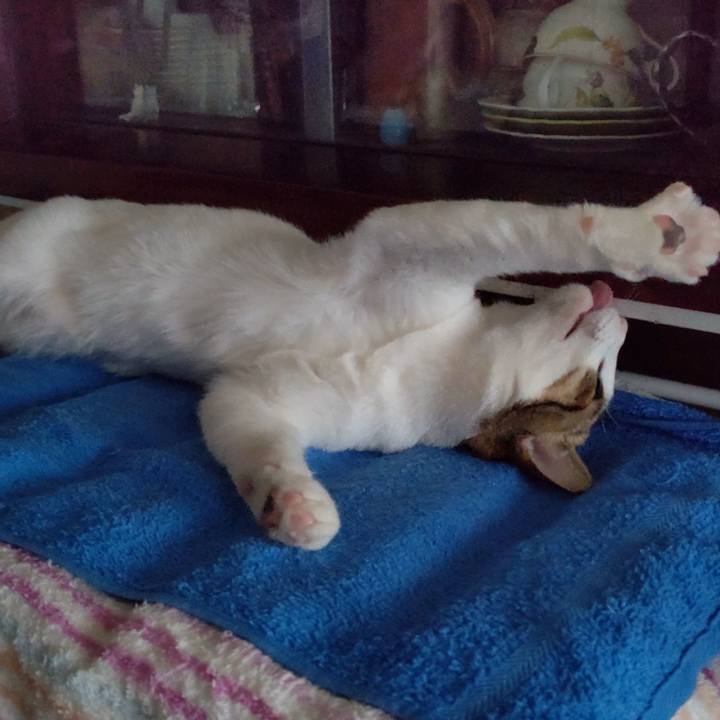 70811972 103c 47b2 a134 21d11b7eafb4 1647818639001