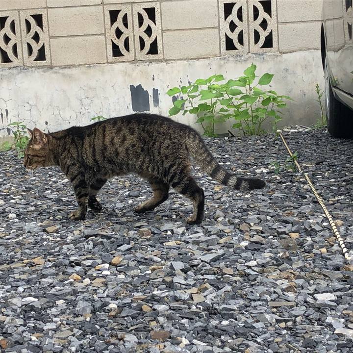 70811ded 496c 4838 b4e4 0cd8866c7292 1537616012085