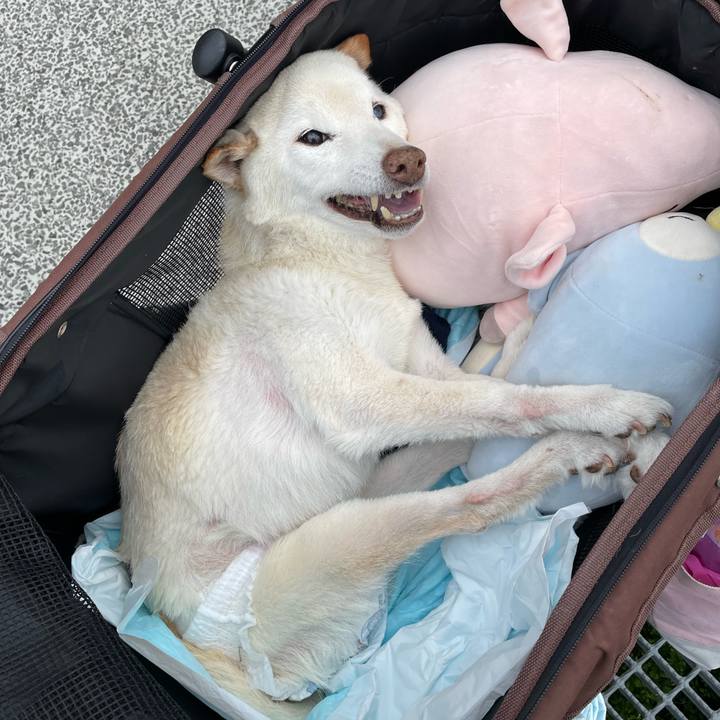 70813016 6ec7 47f4 b01f d5ac431a8d8a 1679120387042