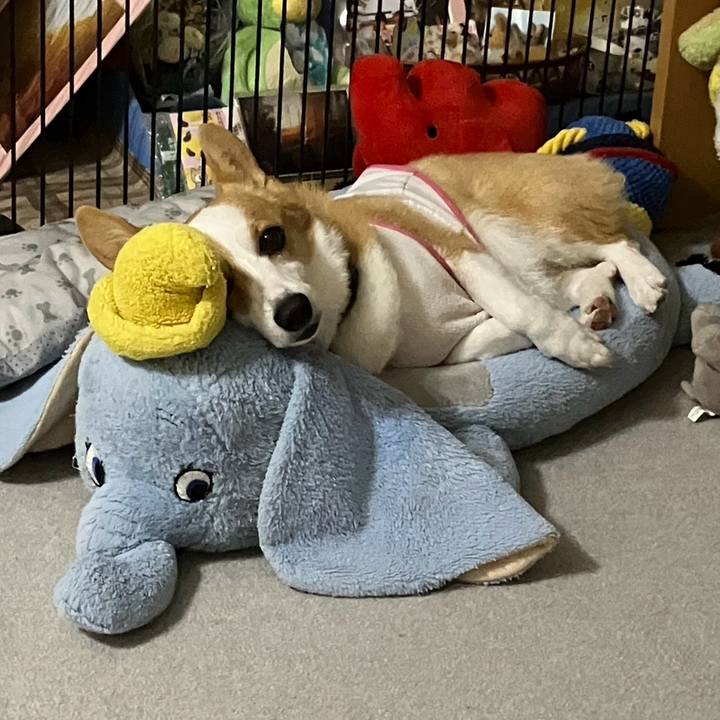 708152cd da06 4512 b234 b3ff5f1a4aba 1759274425530