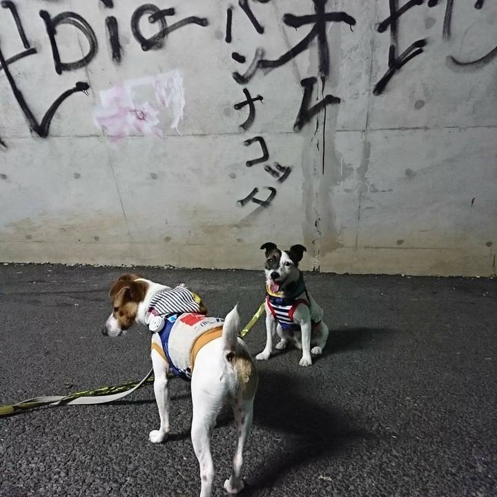 708162a6 58e9 49a7 8ff4 21975b461419 1531703618831