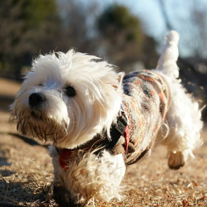 70816710 1e7f 49f0 bded 6ced47444189 1518011183050