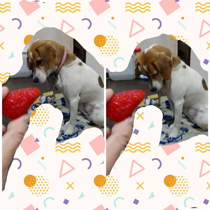 708188a3 575e 4364 ae75 8568eaee76b3 1587824061161