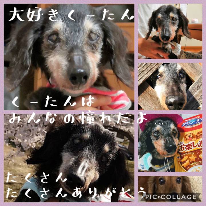 7081b88b ca0c 4ffe 9417 8755c7546548 1576143496674