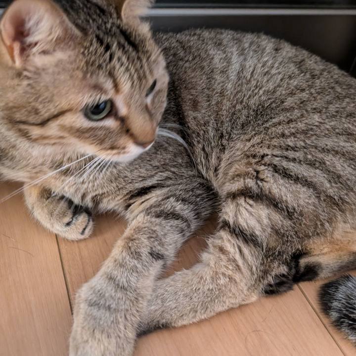 7081c8a6 6b13 45cc 921d 5fa39bd764a8 1760650090609