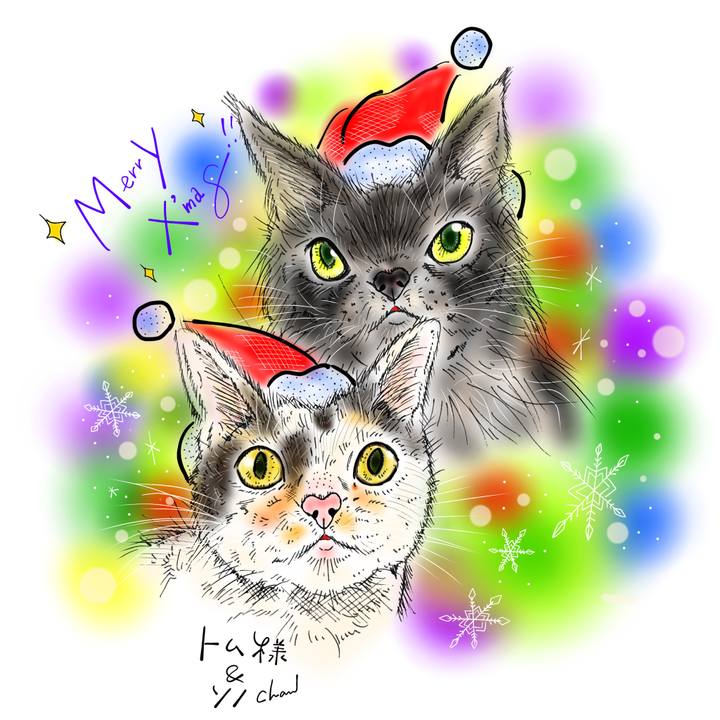 7081ce08 023a 4386 aea2 2f1300409bbe 1640303253041