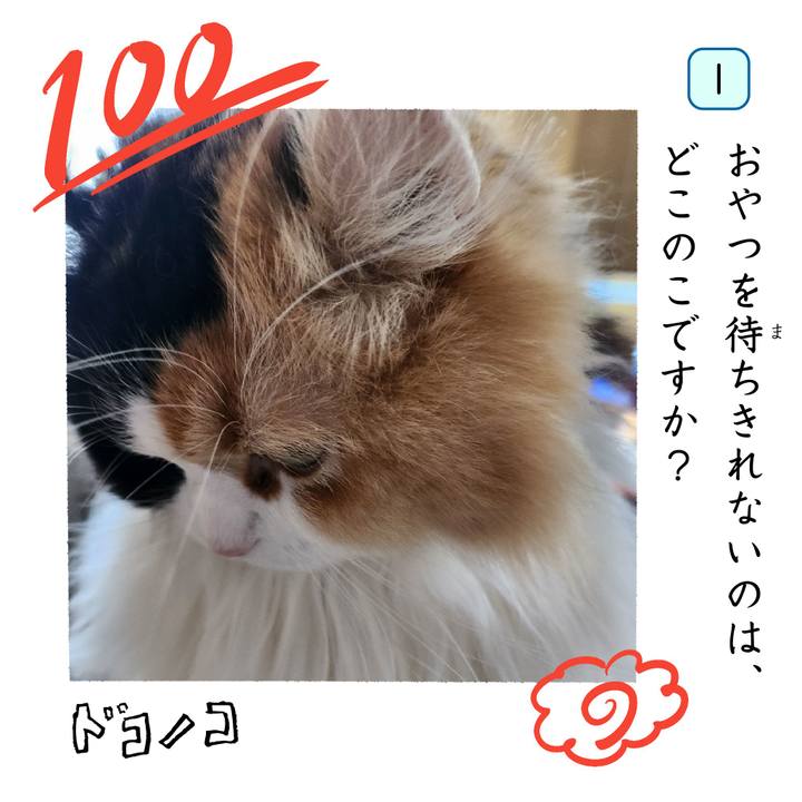 7081ea86 b550 4491 9a7e 814a40c8328e 1744444420959