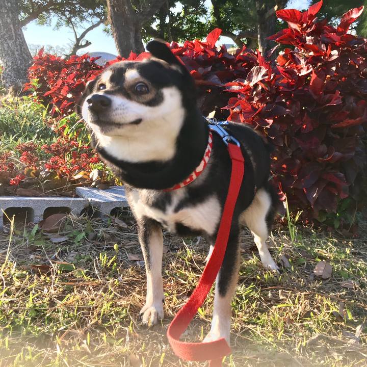 7081f497 3dd8 40e0 bd38 e17d71fc7c3c 1525706096877