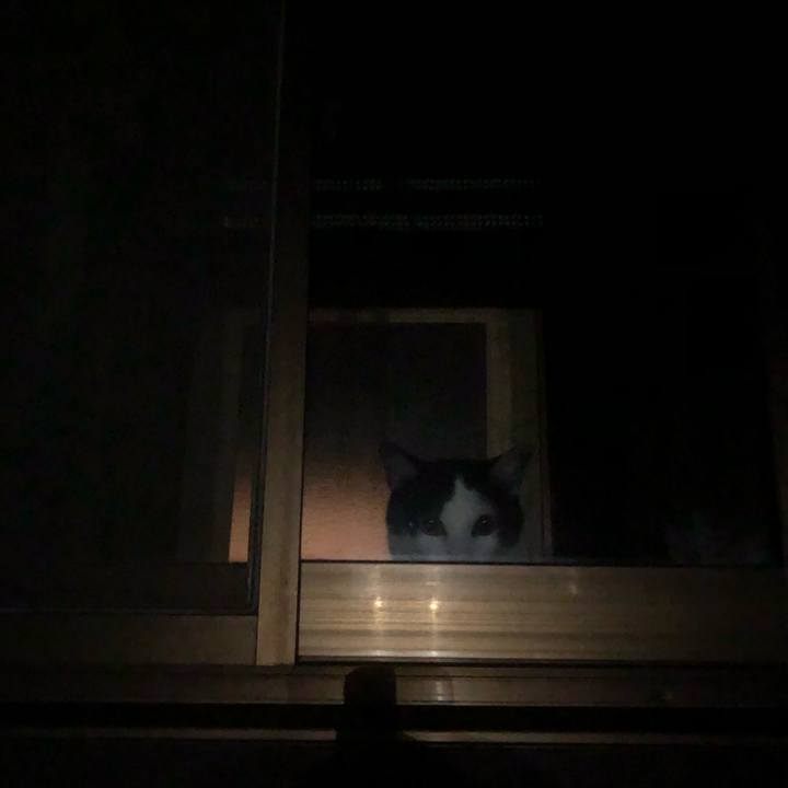 7081ffb0 f8d9 427f a685 5612d80f0879 1567090403852