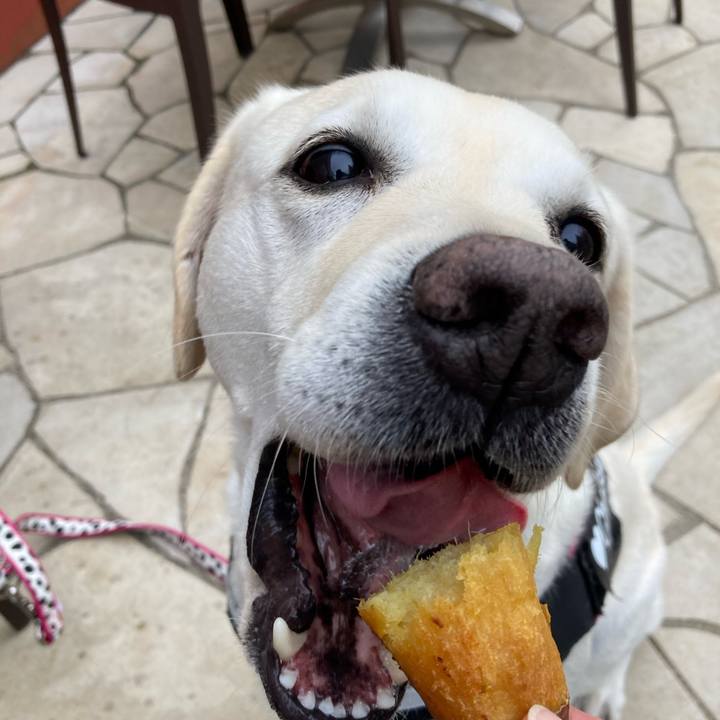 7082a499 5346 4586 8e5e 6afb0817694f 1700140287499