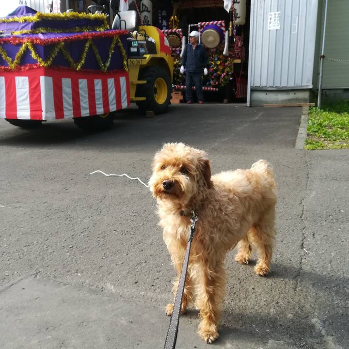 7082d893 0d0e 4ced 901e 8e9edea4deb3 1529110360603