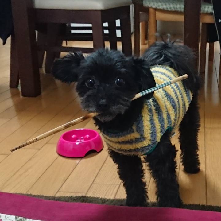 7082f7fc a730 468f 83d8 aa303adb730f 1516529807035