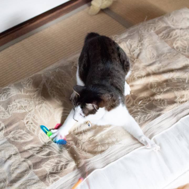 70833188 6e75 41da b2fb e676ada4a7a8 1584602478699