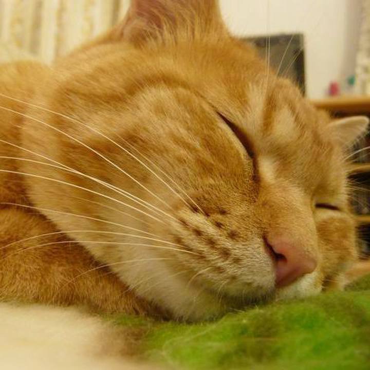 7083a383 185f 46f4 bedf dc5a76c4423e 1723699630098