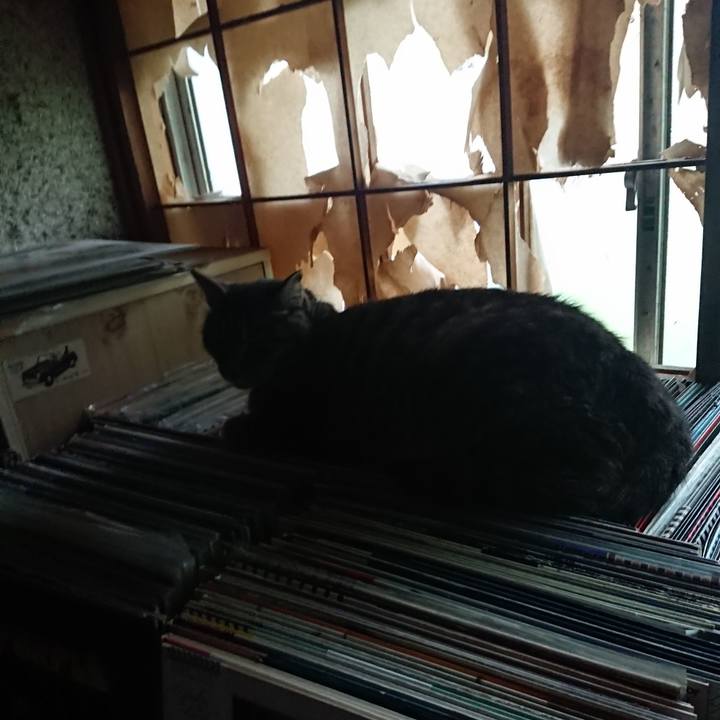 7083e877 d42a 4091 a838 bbe57c659ac8 1656279009741